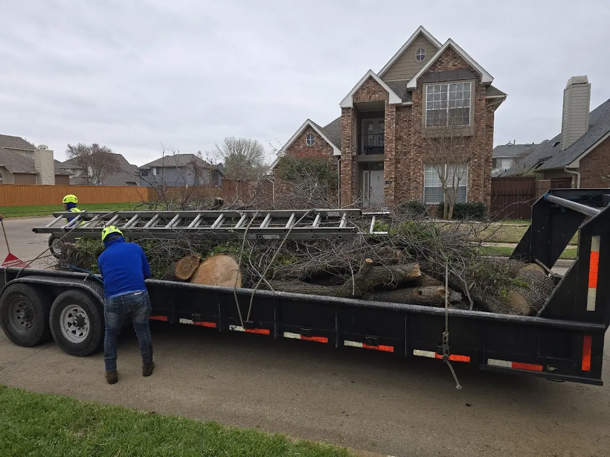 Expert Tree Fertilization with proper safety equipment in Stone Park